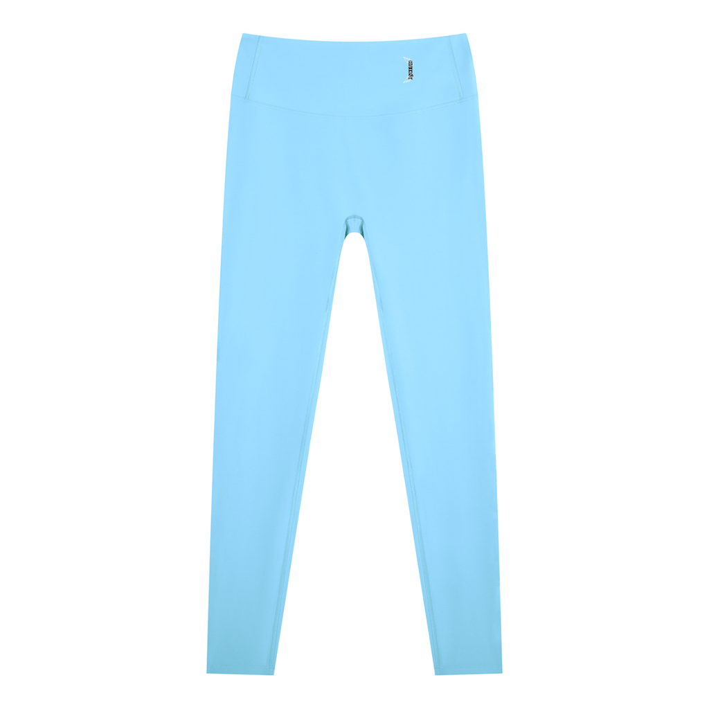 Ascend High Waisted Leggings